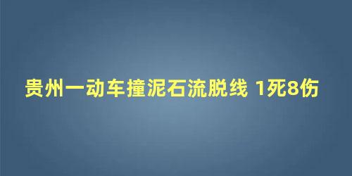 贵州一动车撞泥石流脱线 1死8伤